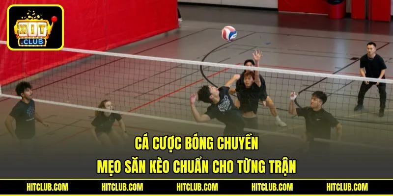Cá Cược Bóng Chuyền - Mẹo Săn Kèo Chuẩn Cho Từng Trận