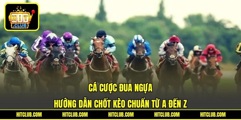 Cá Cược Đua Ngựa - Hướng Dẫn Chốt Kèo Chuẩn Từ A Đến Z