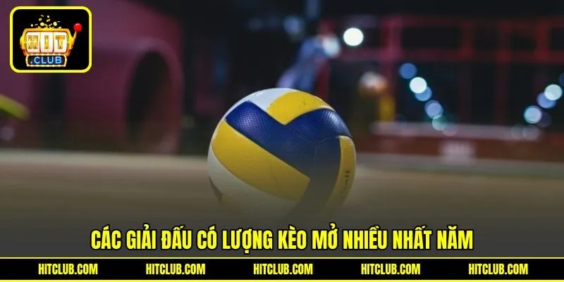 Các giải đấu có lượng kèo mở nhiều nhất năm