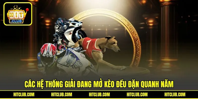 Các hệ thống giải đang mở kèo đều đặn quanh năm