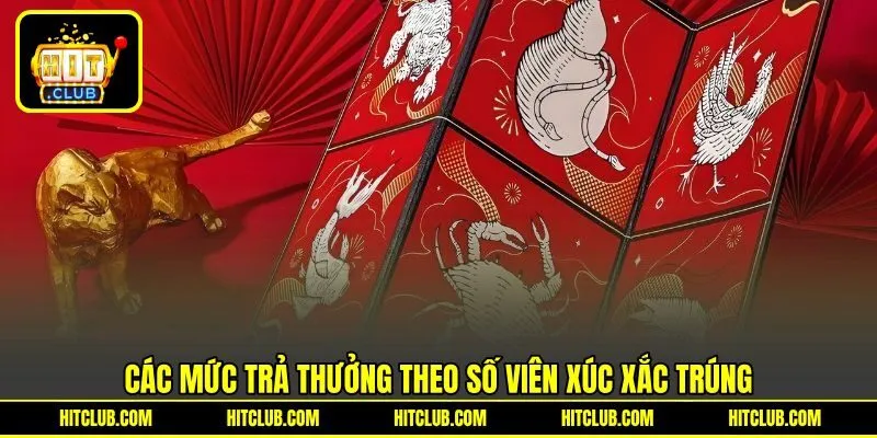 Các mức trả thưởng theo số viên xúc xắc trúng