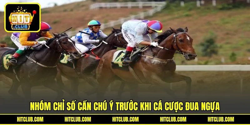 Nhóm chỉ số cần chú ý trước khi cá cược đua ngựa