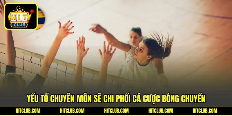 Yếu tố chuyên môn sẽ chi phối cá cược bóng chuyền
